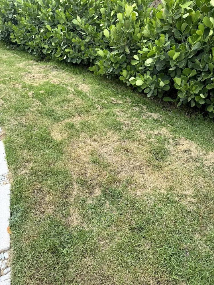 Reliable landscape installation with custom design in Fort Myers, FL by Florida Elite Lawn Care & Mobile Notary