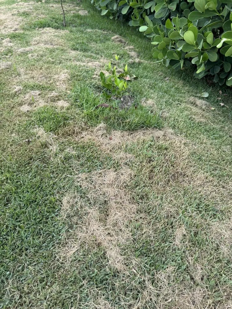 Trusted garden landscaping in Fort Myers, FL - Florida Elite Lawn Care & Mobile Notary