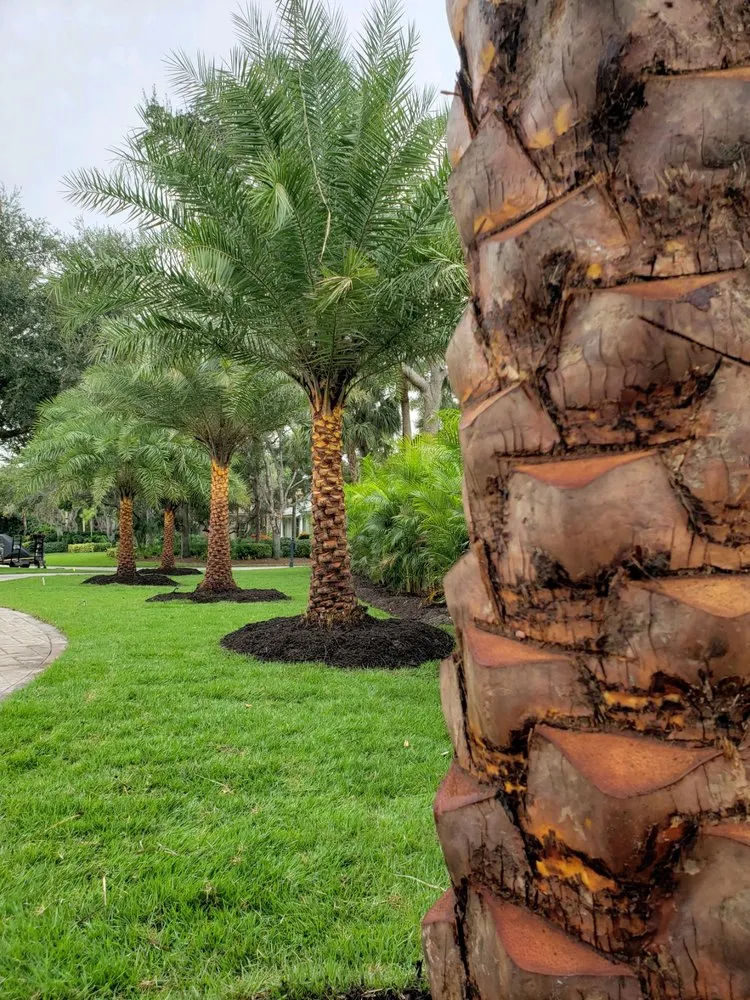 Custom lawn care service experts serving Bonita Springs, FL - Florida Environmental