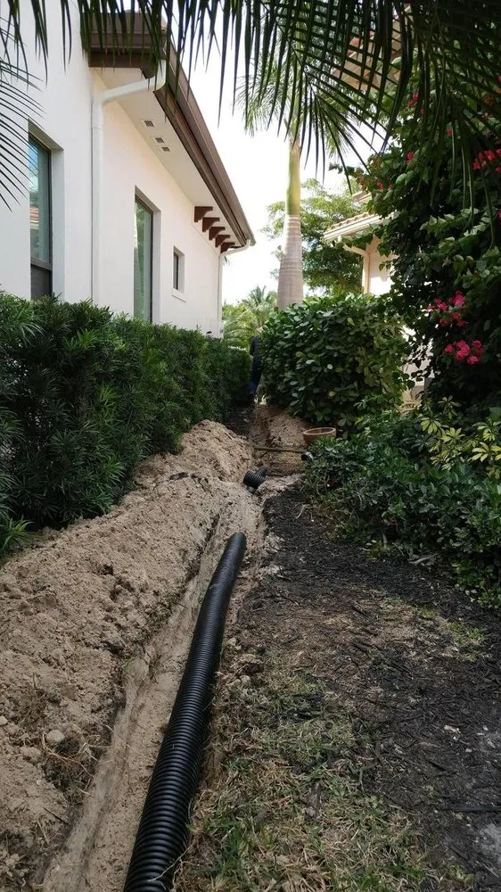 Expert yard cleanup service in Bonita Springs, FL by Florida Environmental