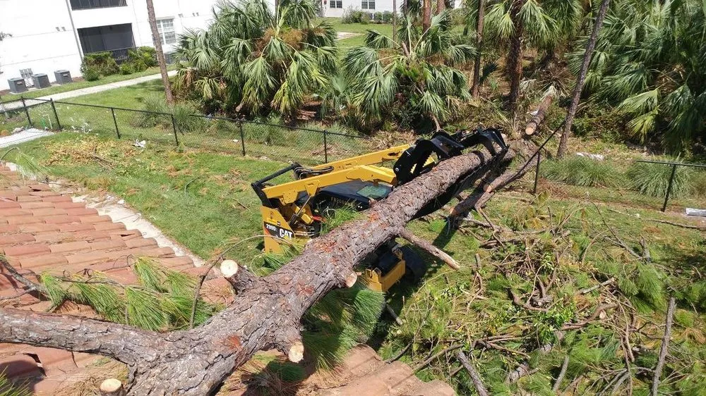 Professional outdoor landscaping experts serving Bonita Springs, FL - Florida Environmental