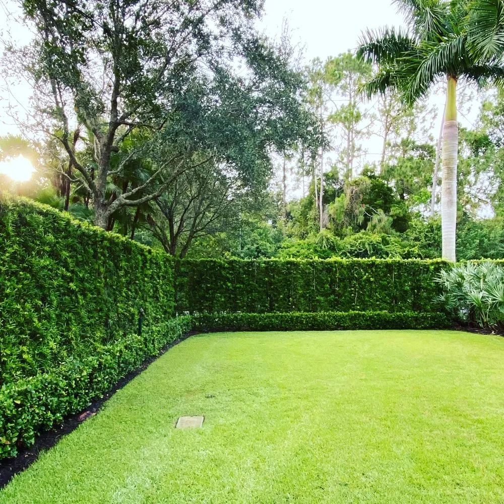 Local garden landscaping for outdoor upgrades in Bonita Springs, FL by Florida Environmental