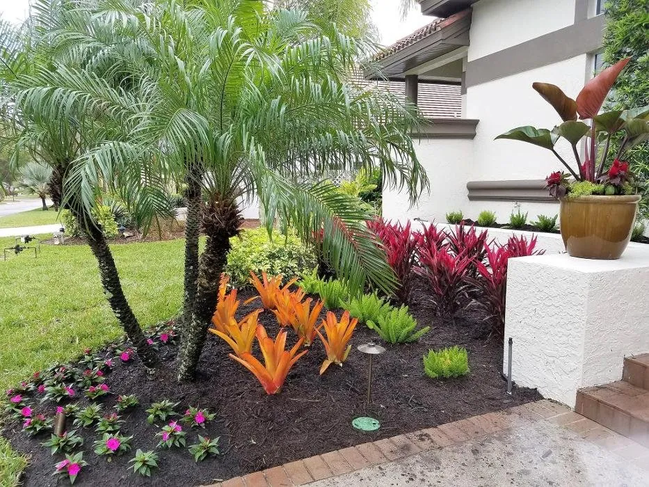 Professional yard cleanup service in Bonita Springs, FL - Florida Environmental