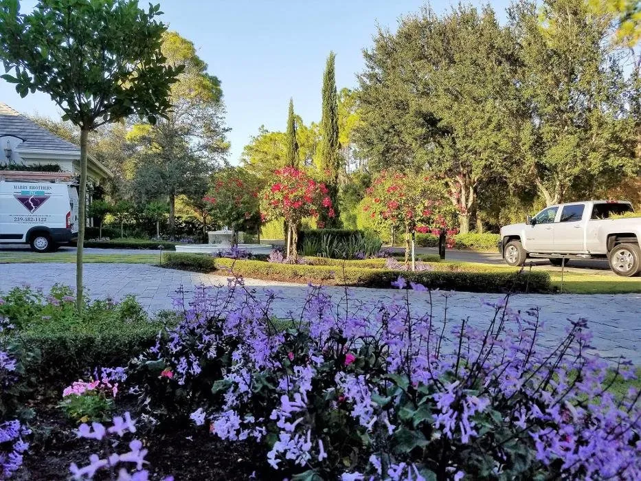 Reliable landscape installation in Bonita Springs, FL - Florida Environmental