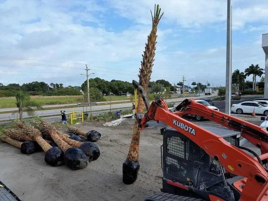 Reliable lawn care service in Bonita Springs, FL - Florida Environmental