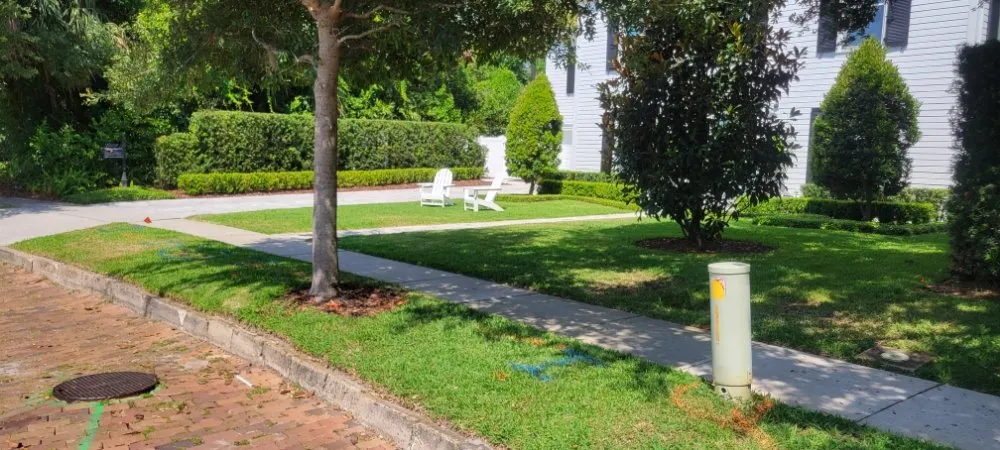 Affordable landscaping services with custom design across Orlando, FL - Florida Expert Lawn & Debris Removal Services