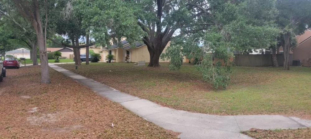 Top-rated landscaping services in Orlando, FL by Florida Expert Lawn & Debris Removal Services