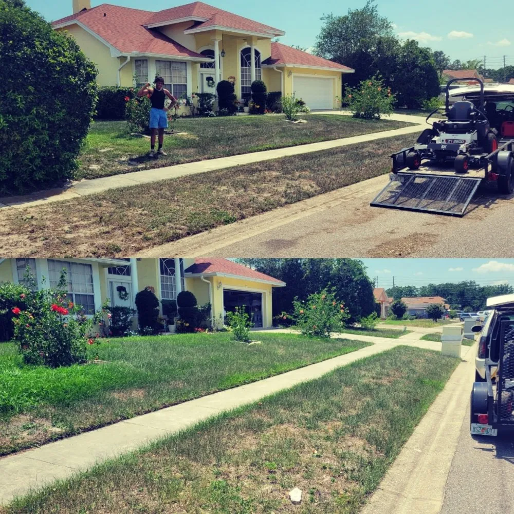 Expert yard cleanup service in Orlando, FL - Florida Expert Lawn & Debris Removal Services