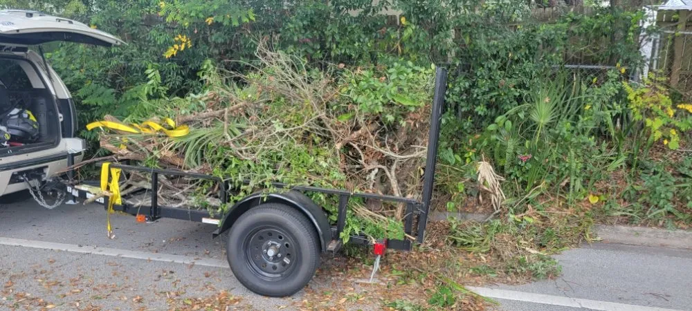 Top-rated landscape installation in Orlando, FL - Florida Expert Lawn & Debris Removal Services