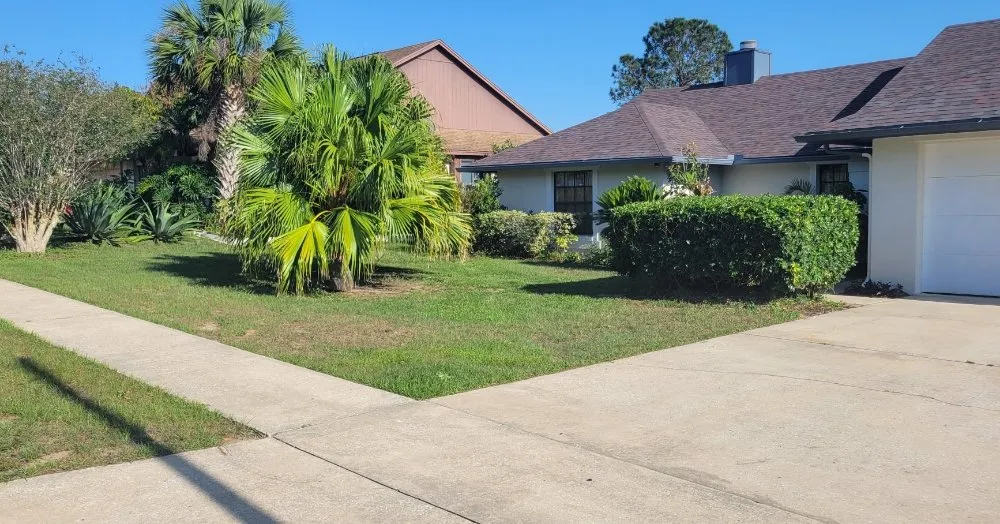 Local outdoor landscaping experts serving Orlando, FL - Florida Expert Lawn & Debris Removal Services