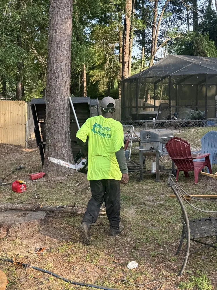 Professional yard cleanup service for beautiful yards across Tallahassee, FL - Florida Extreme Cleaning Service