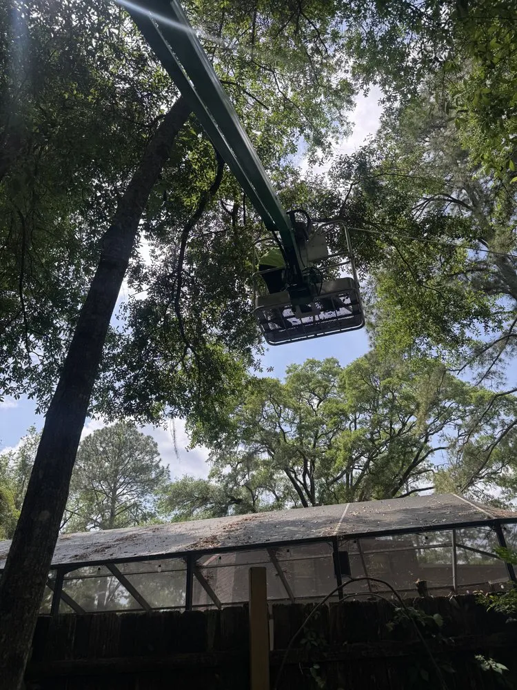 Reliable landscaping services in Tallahassee, FL by Florida Extreme Cleaning Service