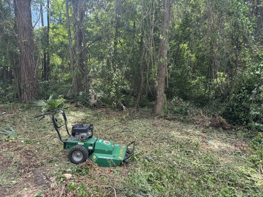 Professional outdoor landscaping for beautiful yards in Tallahassee, FL by Florida Extreme Cleaning Service