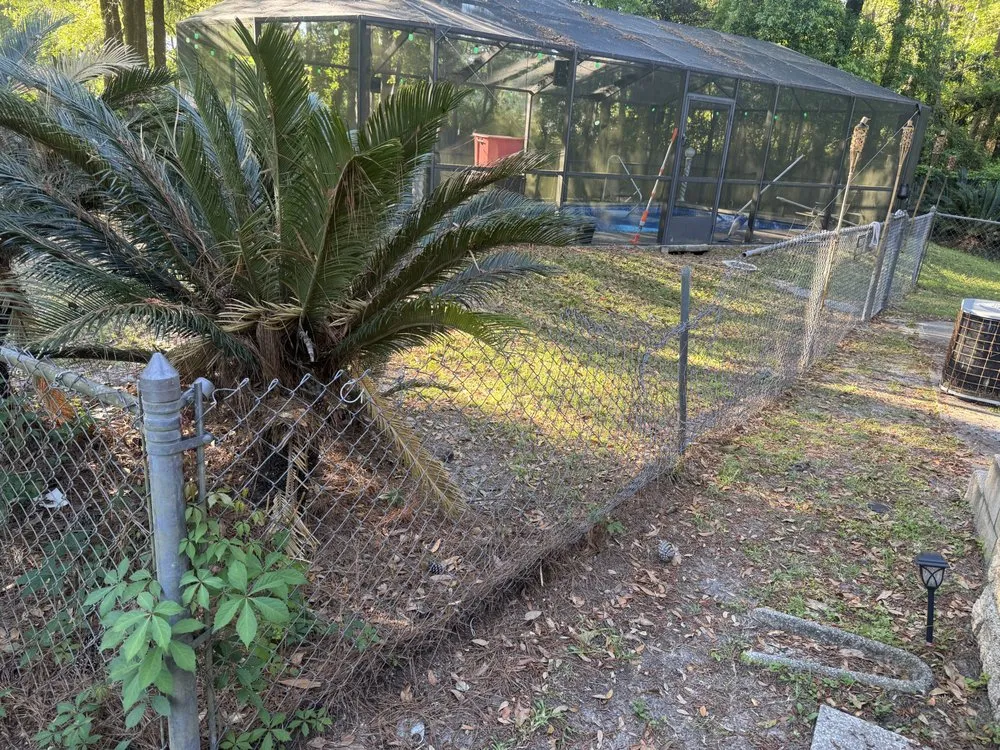 Top-rated yard cleanup service experts serving Tallahassee, FL - Florida Extreme Cleaning Service