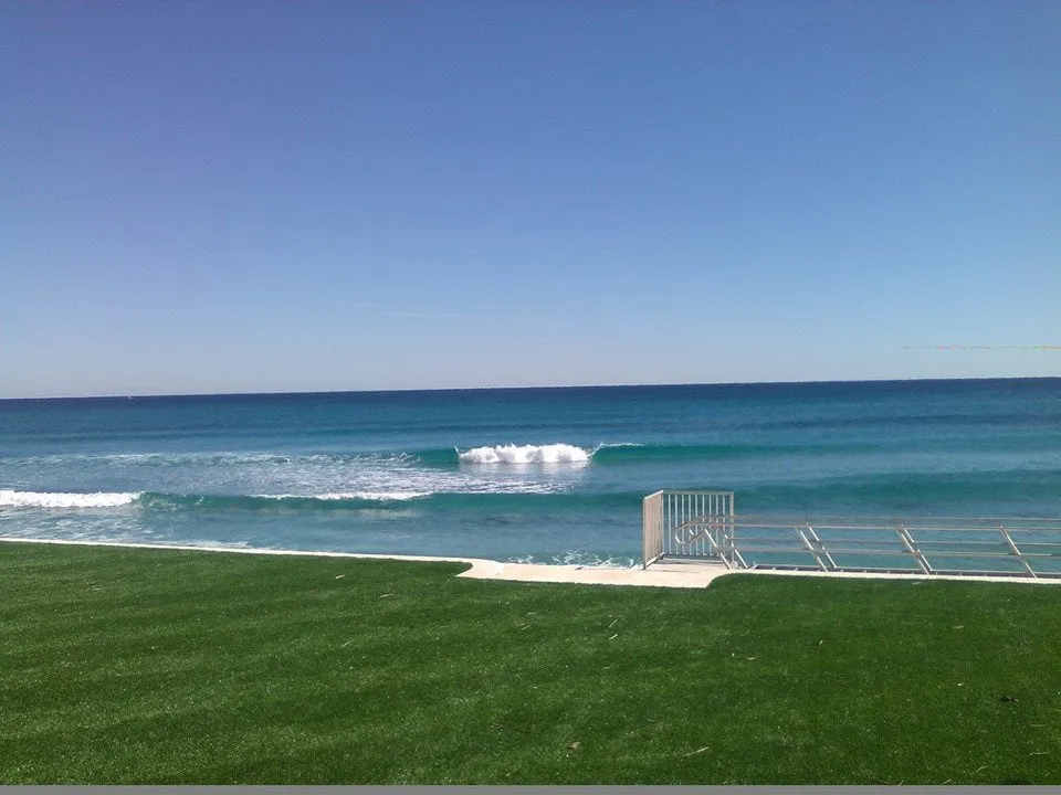 Custom yard maintenance in Deerfield Beach, FL - Florida Fake Grass, Inc