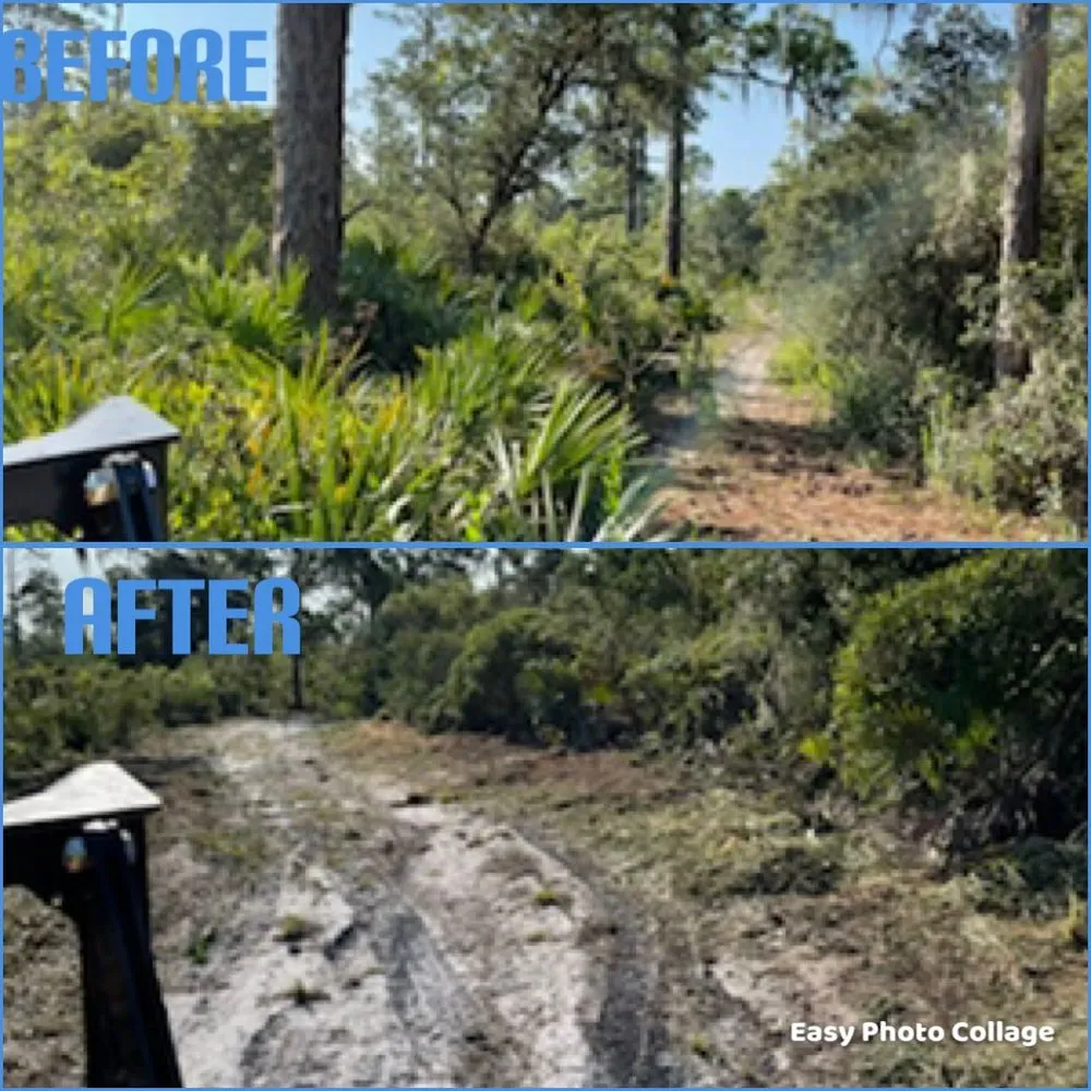 Expert landscaping services for beautiful yards across Venus, FL - Florida Forestry Mulching & Land Service