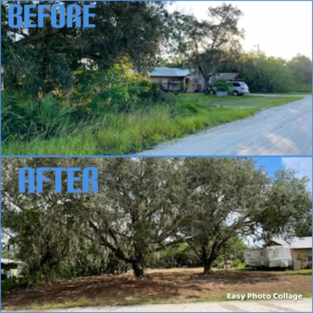 Reliable landscape design for year-round maintenance in Venus, FL by Florida Forestry Mulching & Land Service