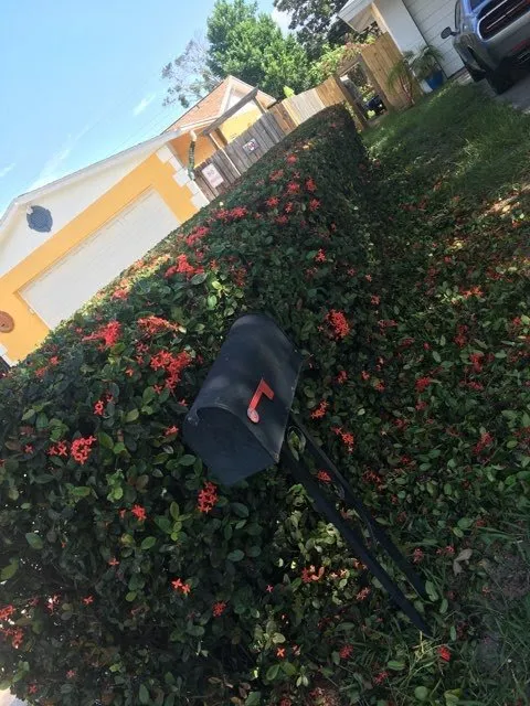 Reliable lawn mowing service for residential properties in Belleair Bluffs, FL by Florida Green Care