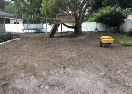 Custom outdoor landscaping in Belleair Bluffs, FL - Florida Green Care