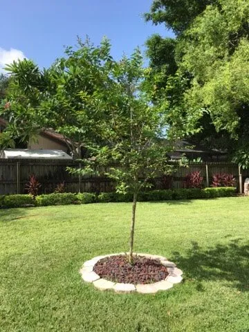 Trusted landscape design in Belleair Bluffs, FL by Florida Green Care