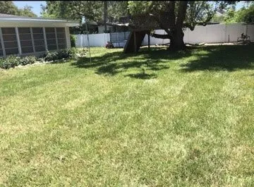 Local residential landscaping for residential properties in Belleair Bluffs, FL by Florida Green Care