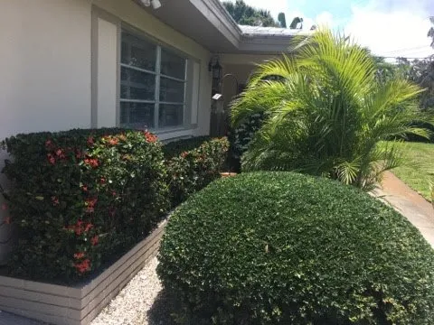 Top-rated outdoor landscaping for homes in Belleair Bluffs, FL by Florida Green Care