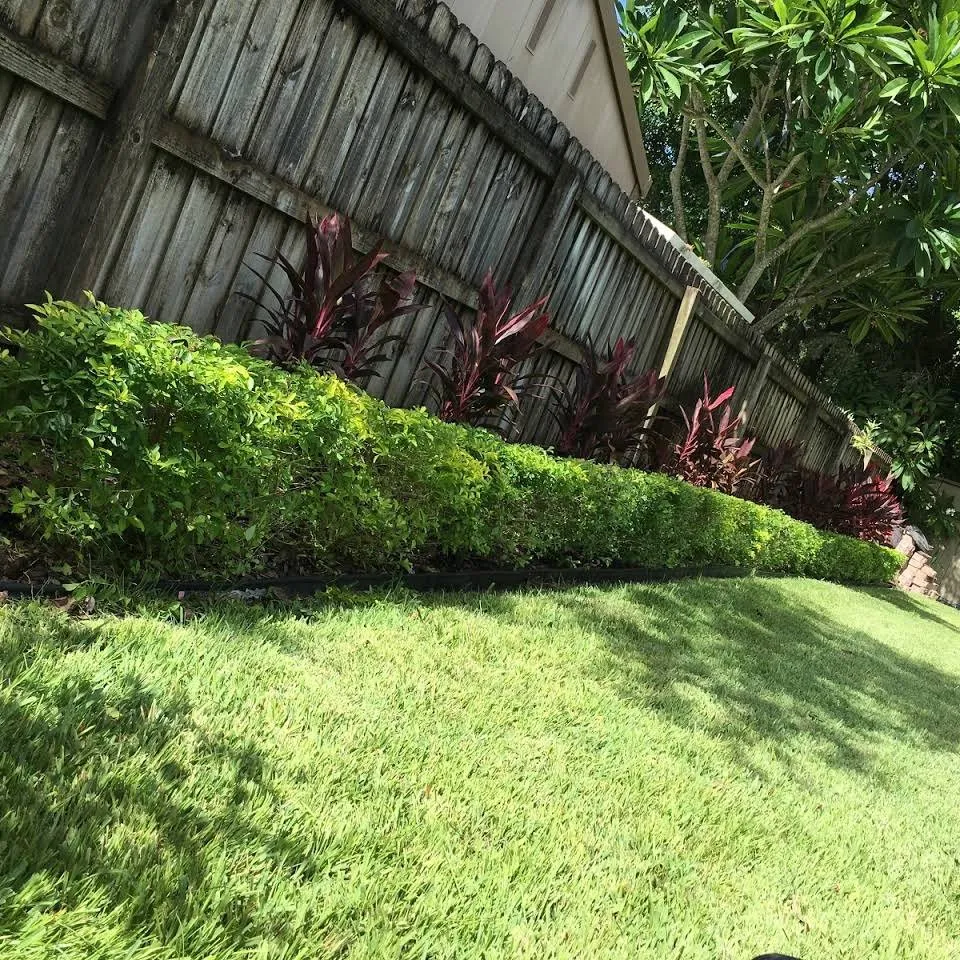 Top-rated landscaping services for homes across Belleair Bluffs, FL - Florida Green Care