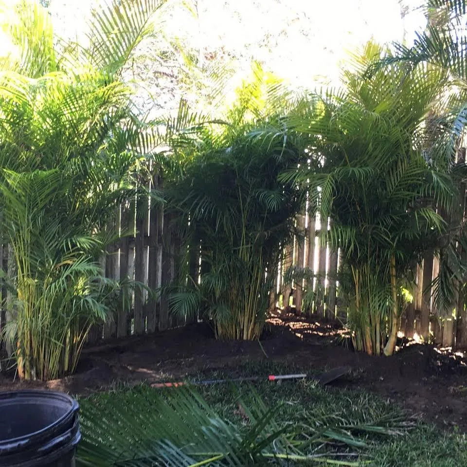 Professional landscape installation for residential properties across Belleair Bluffs, FL - Florida Green Care