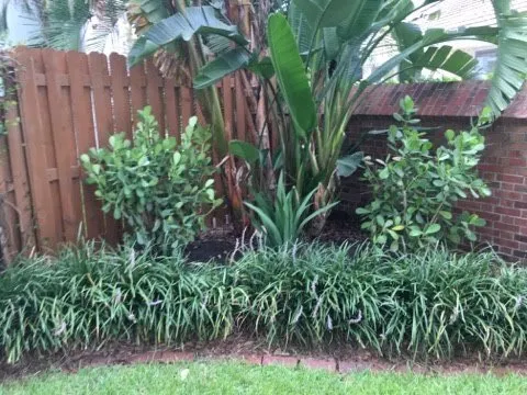 Trusted landscape design in Belleair Bluffs, FL by Florida Green Care