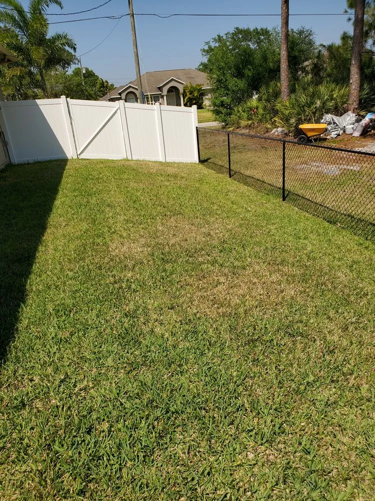 Affordable yard cleanup service in Port Saint Lucie, FL - Florida Green Environmental Services