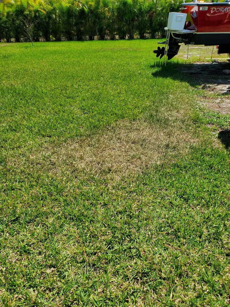 Local landscape installation in Port Saint Lucie, FL by Florida Green Environmental Services