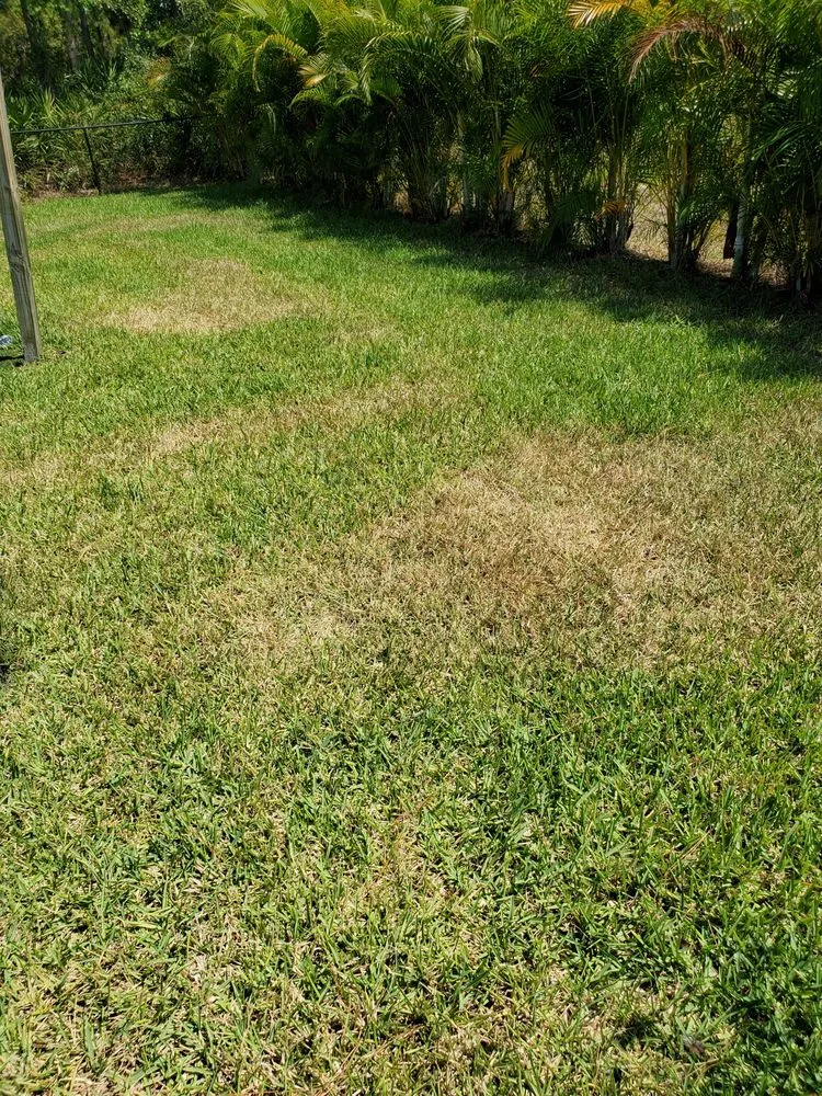 Top-rated landscape installation near you in Port Saint Lucie, FL by Florida Green Environmental Services