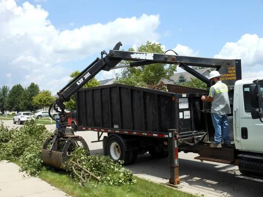 Florida Green Lawn & Tree Service Logo