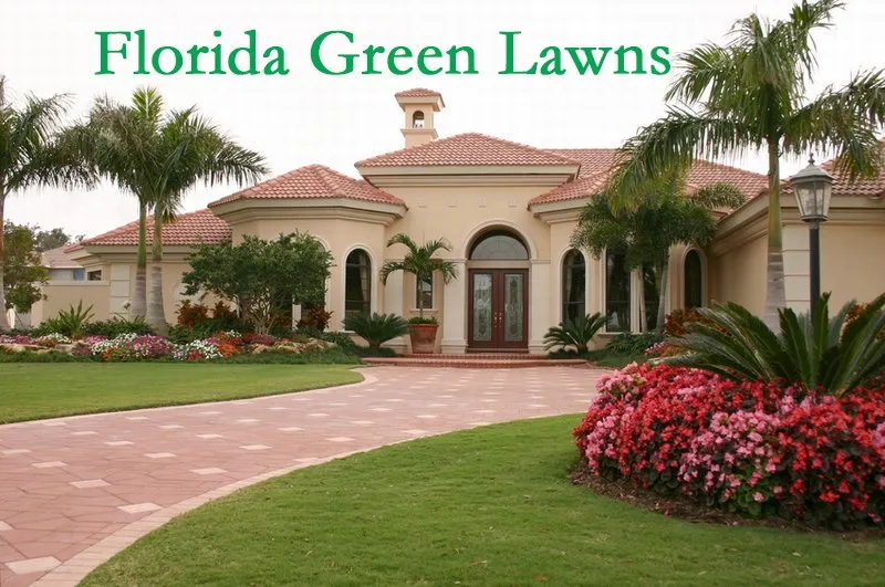 Top-rated landscape design experts serving Orlando, FL - Florida Green Lawns