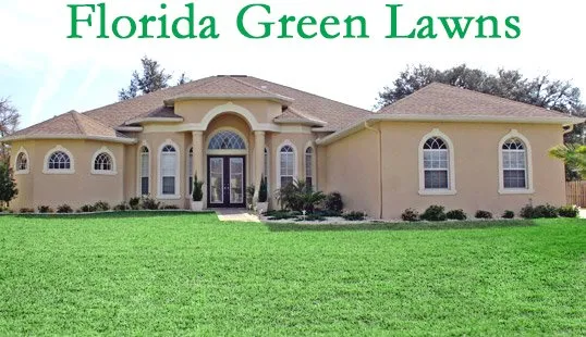Top-rated lawn care service with custom design across Orlando, FL - Florida Green Lawns