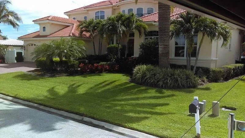 Reliable lawn care service in Pinellas Park, FL - Florida Green Works