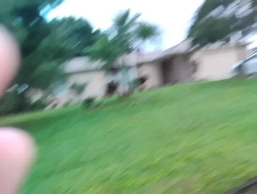 Florida Greenscapes Logo