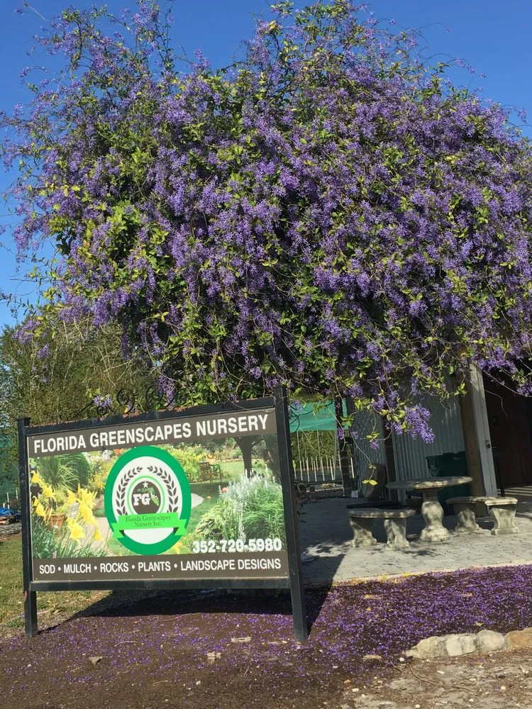 Expert lawn mowing service in Mount Dora, FL by Florida Greenscapes Nursery