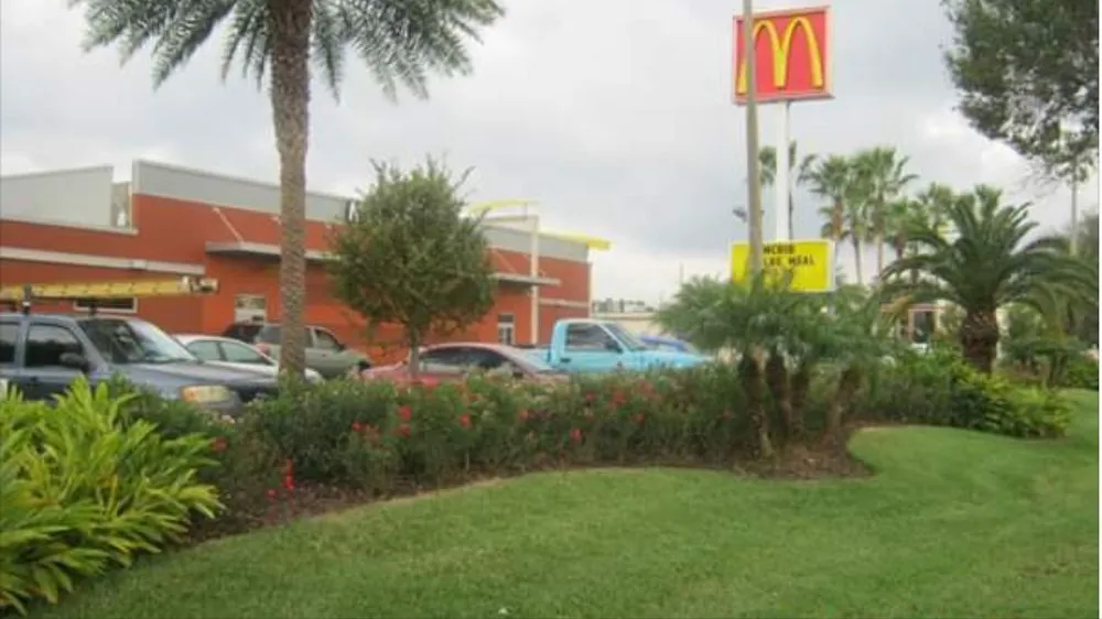 Reliable yard cleanup service for outdoor upgrades in Mount Dora, FL by Florida Greenscapes Nursery