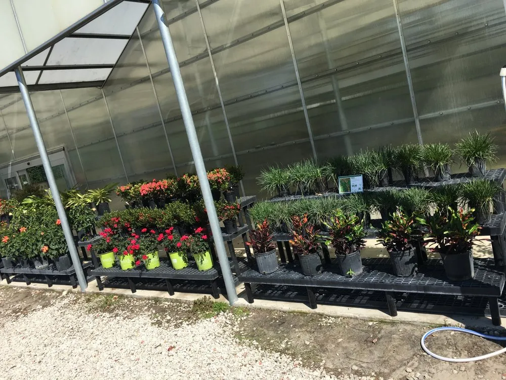 Trusted residential landscaping in Mount Dora, FL - Florida Greenscapes Nursery