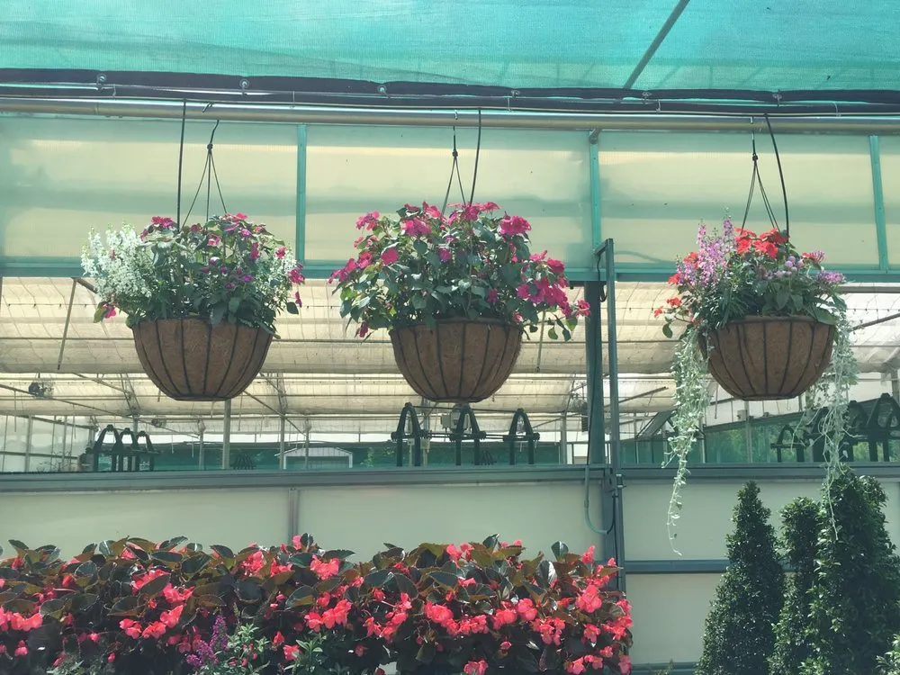 Affordable yard cleanup service in Mount Dora, FL by Florida Greenscapes Nursery