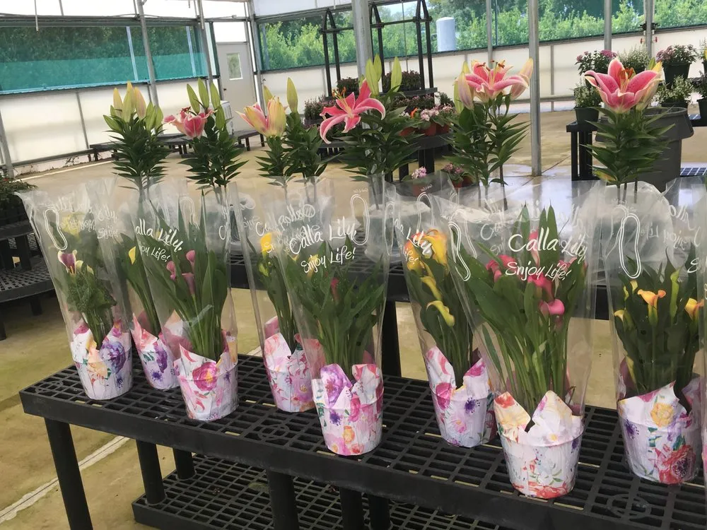 Local lawn mowing service in Mount Dora, FL - Florida Greenscapes Nursery