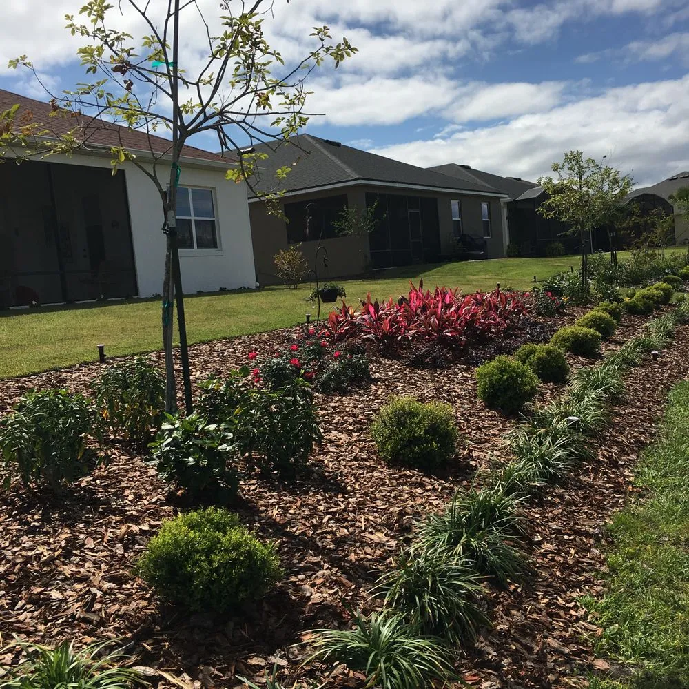 Expert landscape installation in Mount Dora, FL by Florida Greenscapes Nursery