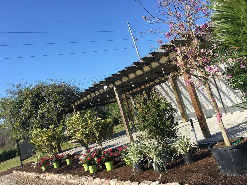 Reliable landscape design for outdoor upgrades in Mount Dora, FL by Florida Greenscapes Nursery