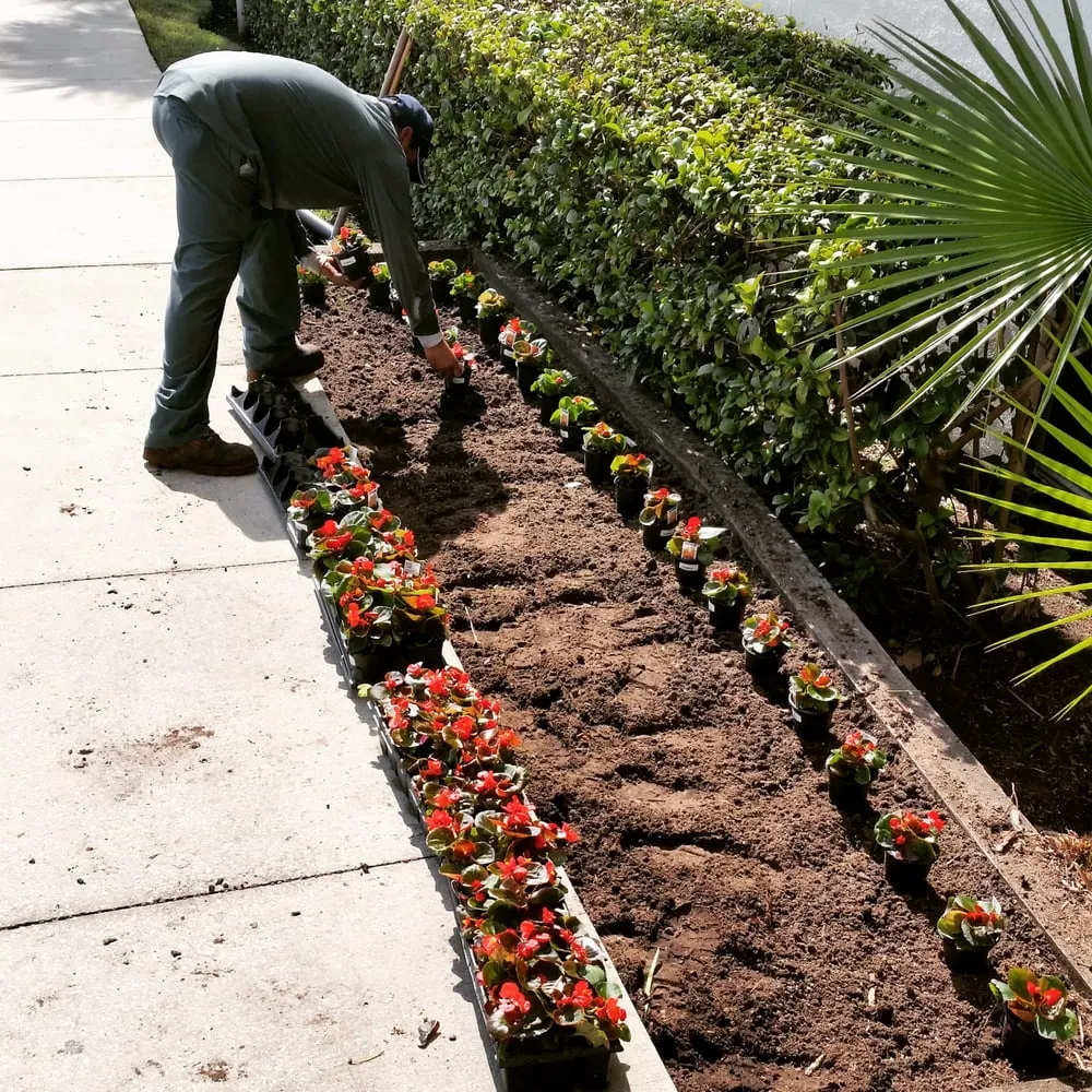 Professional yard cleanup service experts serving Lithia, FL - Florida Ground Pros