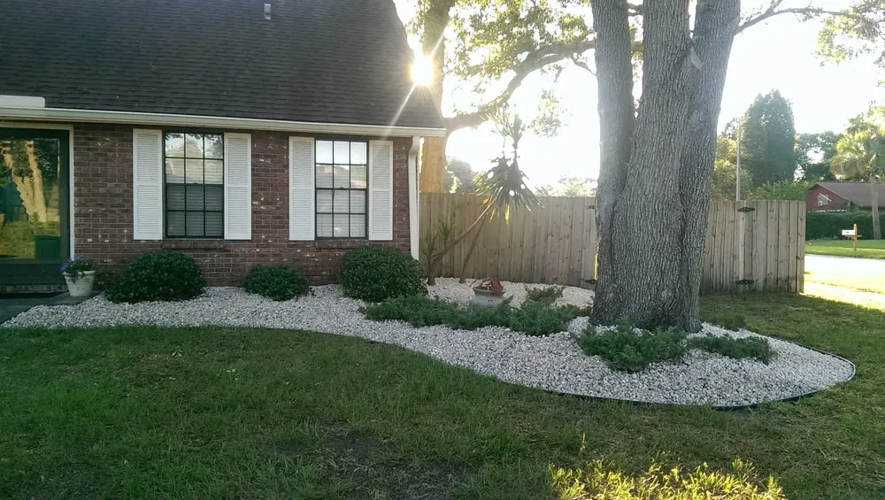 Reliable residential landscaping in Tampa Bay, FL - Florida Grown Landscaping