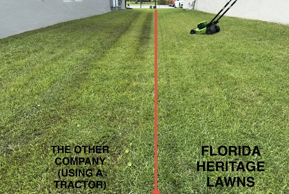 Local landscape design in Oakland, FL - Florida Heritage Lawns