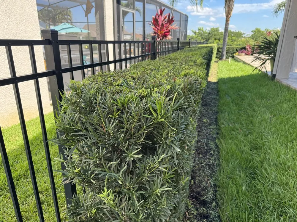 Professional landscape installation for beautiful yards across Oakland, FL - Florida Heritage Lawns