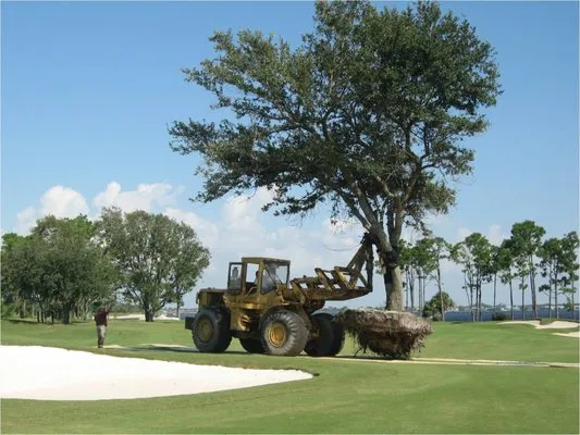 Florida Innovative Landscape Logo