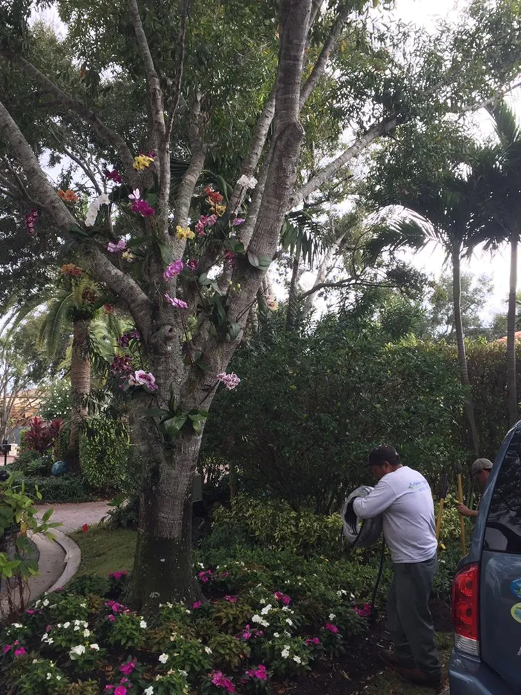 Trusted garden landscaping in Jupiter, FL - Florida Irrigation